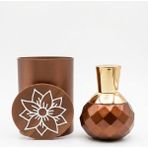 BRAVASİP Hareem Soiree Kadın Parfüm 60 ml Edt Kalıcı Etki Günlük Kullanım Çiçeksi Oryantal Vanilya Amber Misk Ferah Zarif Kadın Parfumu Uzun Süre Kalıcılık Şık Koku