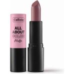 Braventa Collection All About Color Matte Lipstick Mat Görünümlü Ruj 503 Table For Two, Pembe - Çok Renkli