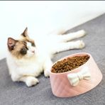 Braventa Collection Emey E-Ticaret Kedi ve Köpek Papyon Desenli Mama ve Su Kabı (Pembe)