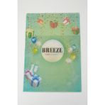 Breeze Breeze Hediye Paketi Balonlu 30 x 25 Cm, Yeşil