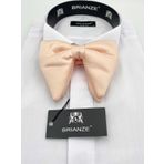 Brianze Somon Buyuk Papyon