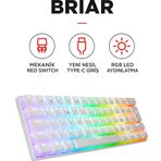Brıar Type-C Bağlantılı RGB Puding Tuşlu Mekanik Red Switch Türkçe Q Gaming Oyuncu Klavyesi Beyaz
