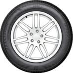 Bridgestone 215/65 R16 102V XL Weather Control A005 Evo SUV Dört Mevsim Lastiği 2024