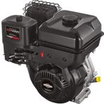 Briggs & Stratton XR1450 10 HP Benzinli Motor