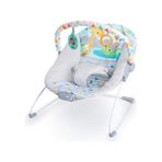 Bright Starts Bebek Salıncağı, Rahatlatıcı Titreşimli Bebek Ana Kucağı - Çok Renkli