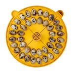 Brinsea Products Maxi Advance Kuluçka Makinesi Küçük Yumurta Çeyrek Ekleme (40 Bıldırcın Yumurtası), Sarı