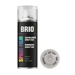 Brio Opak Trans 400 ml Çıkarılabilir Sprey Boya