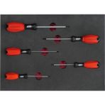Brio TORX T10 Tornavida