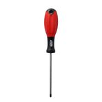 Brio TORX T20 Tornavida