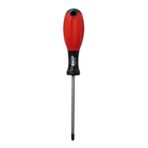 Brio Torx T45 Tornavida