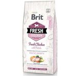 Brit 12 kg Fresh Puppy Tavuk Ve Patatesli Yavru Köpek Maması