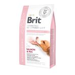 Brit 12 kg Veterinary Diet Hypo-Allergenic Cilt Sağlığı Destekleyici Somonlu Tahılsız Köpek Maması