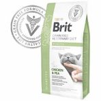 Brit 2 kg Veterinary Diets Diabetes Tahılsız Tavuk Bezelye Kedi Maması