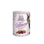 Brit Care 100 gr Kızılcık ve Kuşburnu Mama