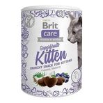 Brit Care 100 gr Süper Fruits Hindistan Cevizli ve Yaban Mersinli Yavru Kedi Ödül Maması