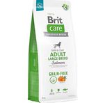 Brit Care 12 kg Adult Large Breed Tahılsız Somon Balıklı Büyük Irk Yetişkin Köpek Maması