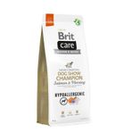 Brit Care 12 kg Champion Hipoallerjenic Çalışan Somonlu Yetişkin Köpek Maması