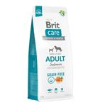 Brit Care 12 kg Deri ve Tüy Hassasiyeti Olan, Yetişkin Köpekler Için Tahılsız Somonlu Kuru Mama