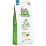 Brit Care 12 kg Large Breed Somon Büyük Irk Tahılsız Köpek Maması