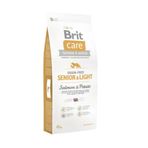 Brit Care 12 kg Skin Coat Somonlu Tahılsız Yaşlı Köpek Maması