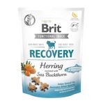 Brit Care 150 gr Function Snack Ricovery Ringa Balıklı Köpek Ödülü