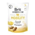 Brit Care 150 gr Functional Eklem ve Kıkırdak Sağlığını Desteklemek İçin Tahılsız Kalamar ve Ananaslı Fonksiyonel Yetişkin Köpek Ödülü