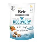 Brit Care 150 gr Functional Snack Yara İyileşmesini Hızlandırmak İçin Tahılsız Ringa Balıklı ve Yalancı İğdeli Fonksiyonel Yetişkin Köpek Ödülü