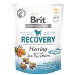 Brit Care 150 gr Recovery Ringa Balıklı Aktif Tahılsız Köpek Ödülü