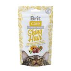 Brit Care 50 gr Snack Shiny Hair Parlak ve Sağlıklı Tüyler Için Kedi Ödül Maması