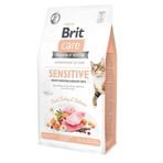 Brit Care 7 kg Hindili ve Somonlu Tahılsız Yetişkin Kedi Maması