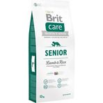 Brit Care Adult All Breed Salmon Patato 12 kg Köpek Maması