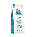 Brit Care Adult Tahılsız Somon ve Patatesli 12 kg Yetişkin Köpek Maması