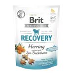 Brit Care Function Snack Recovery Ringa Balıklı 150 gr Köpek Ödülü
