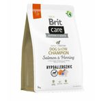 Brit Care Hipoalerjenik Dog Chow Champion Somonlu ve Ringa Balıklı 3 kg Yetişkin Köpek Maması