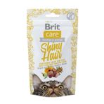 Brit Care Kedi Tüy Bakımı 50 gr Ödül Maması