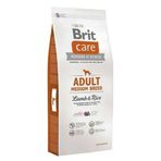 Brit Care Kuzu Etli Yetişkin Köpek Maması Kuru 12 kg Köpek Maması