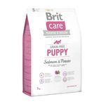 Brit Care Puppy Somonlu Tahılsız Yavru 3 kg Köpek Maması