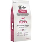 Brit Care Puppy Tahılsız Somonlu Küçük Ve Orta Irk Yavru 3 kg Köpek Maması