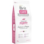 Brit Care Puppy Tahılsız Somonlu Yavru 12 kg Köpek Maması