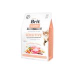 Brit Care Sensitive Hypoallergenic Somonlu Kedi Maması 2 Kg