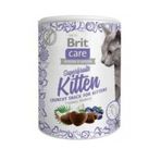 Brit Care Snack Superfruits 100 gr Yavru Kedi Ödülü