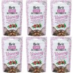 Brit Care Snack Urinary İdrar Sağlığı Destekleyici 6x50 gr Kedi Ödül Maması