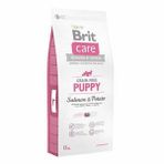 Brit Care Somonlu ve Patatesli Tahılsız Yavru 12 kg Köpek Maması