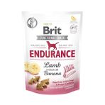 Brit Endurance Glütensiz 150 gr Kuzu Etli ve Muzlu Köpek Ödülü