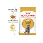 British Shorthair Adult Yetişkin Kedi Maması 10 kg