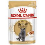 British Shorthair Yaş 12x85 gr Kedi Maması