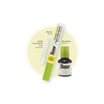 Brons Board Marker Set Açık Yeşil ( Kalem + Mürekkep + Yedek Uç ) [br-9559]