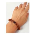 Bronzit Taşlı Rudraksha Tohum Unisex Bileklik 8mm