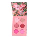 Brooklyn Timeless Beauty Pembe 6'lı Far Paleti