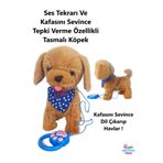 Brother Toys Ses Tekrarlayan Kafasını Sevince Tepki Veren Yürüyen Havlayan Tasmalı Kuyruğunu Sallayan Oyuncak Kedi Köpek 25 Cm.